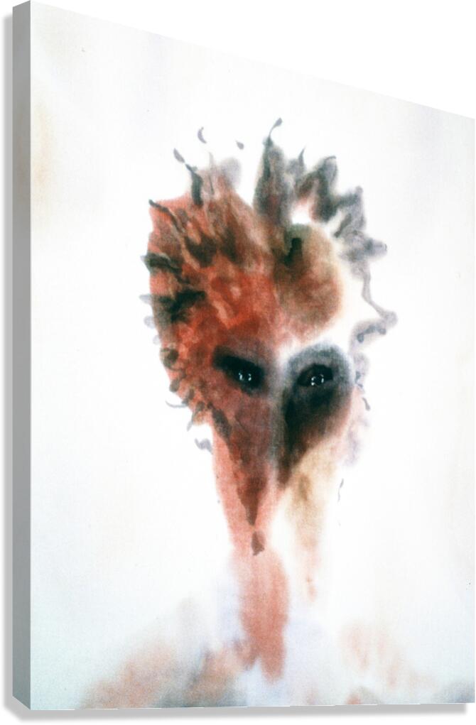 McWolf Canvas Print