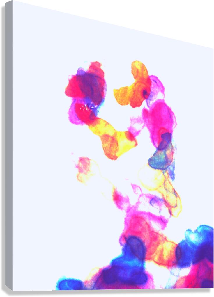 image 79 Canvas Print