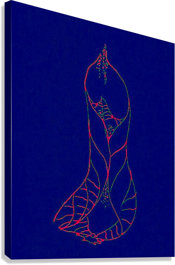 image 28 Canvas Print