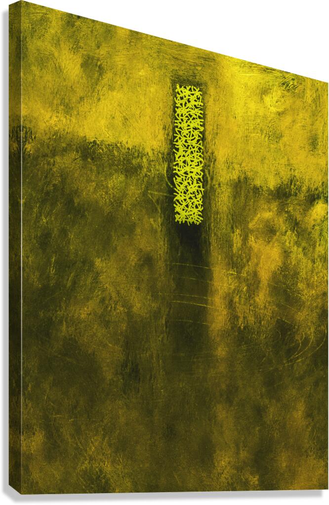 Monolith 43 Canvas Print