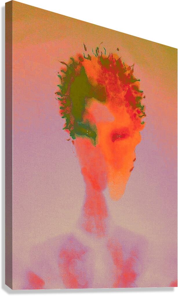 image 315 Canvas Print