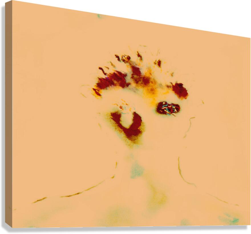 image 110 Canvas Print