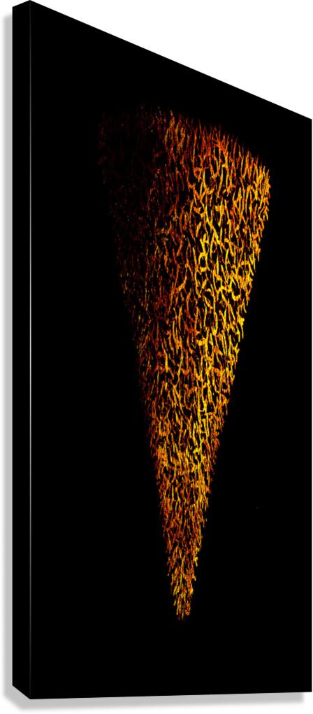 image 306 Canvas Print