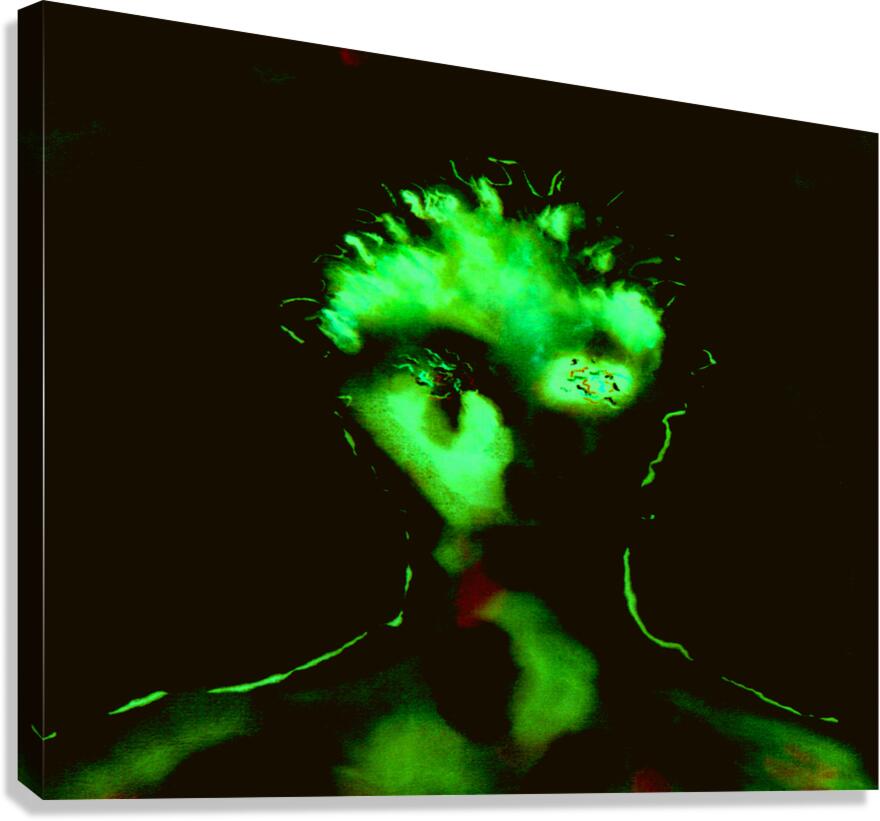 image 95 Canvas Print