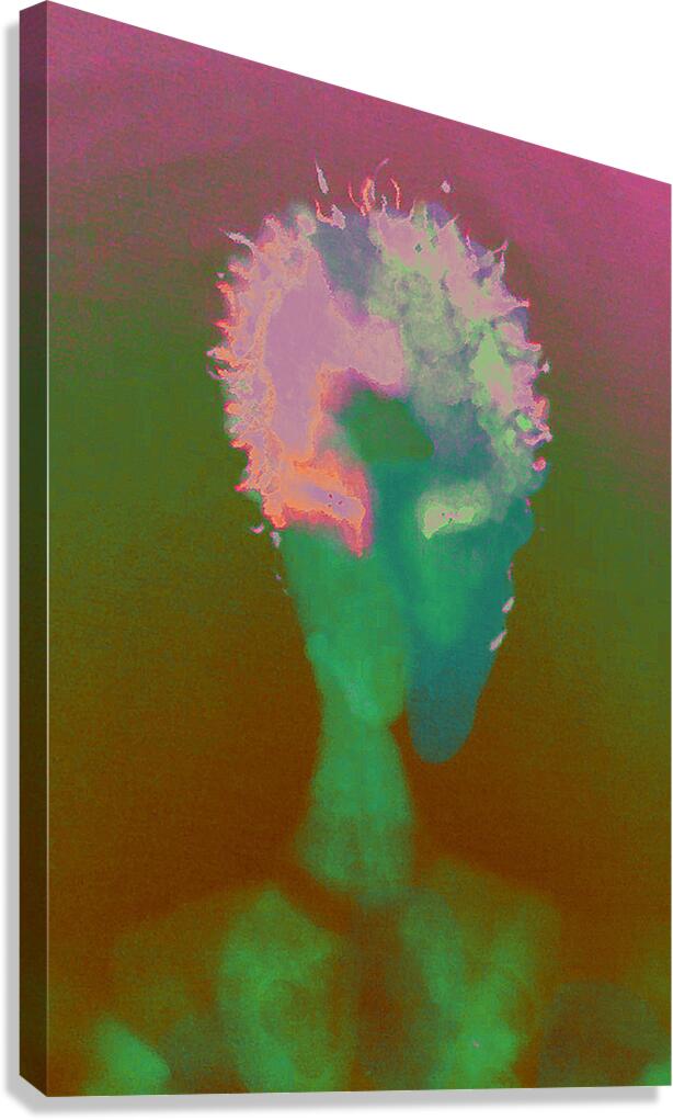 image 312 Canvas Print