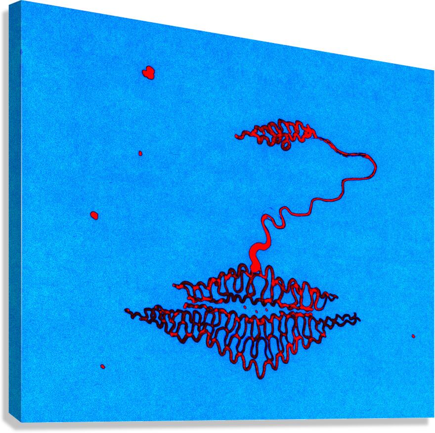 image 634 Canvas Print