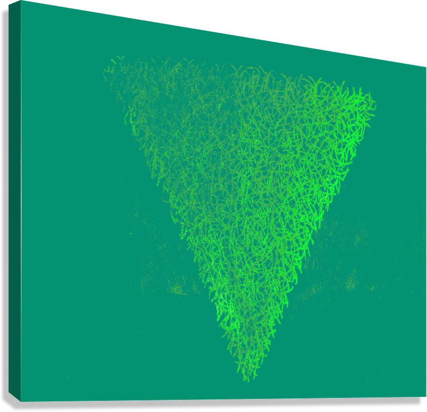 image 344 Canvas Print
