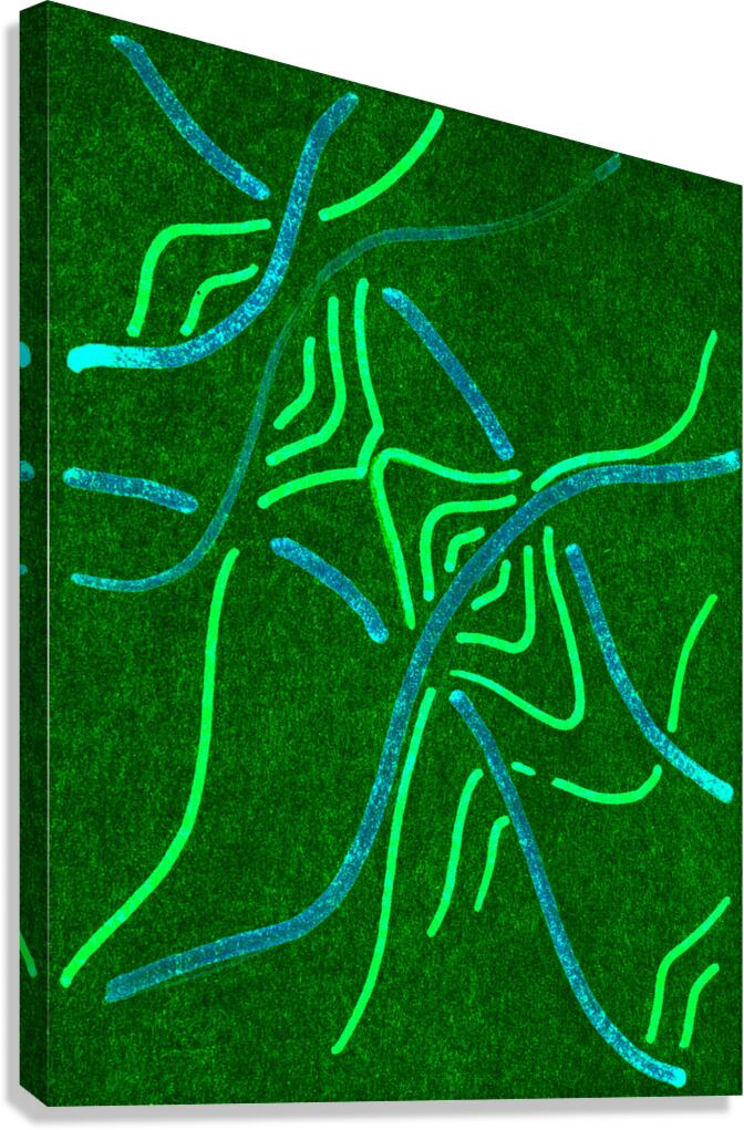 image 559 Canvas Print