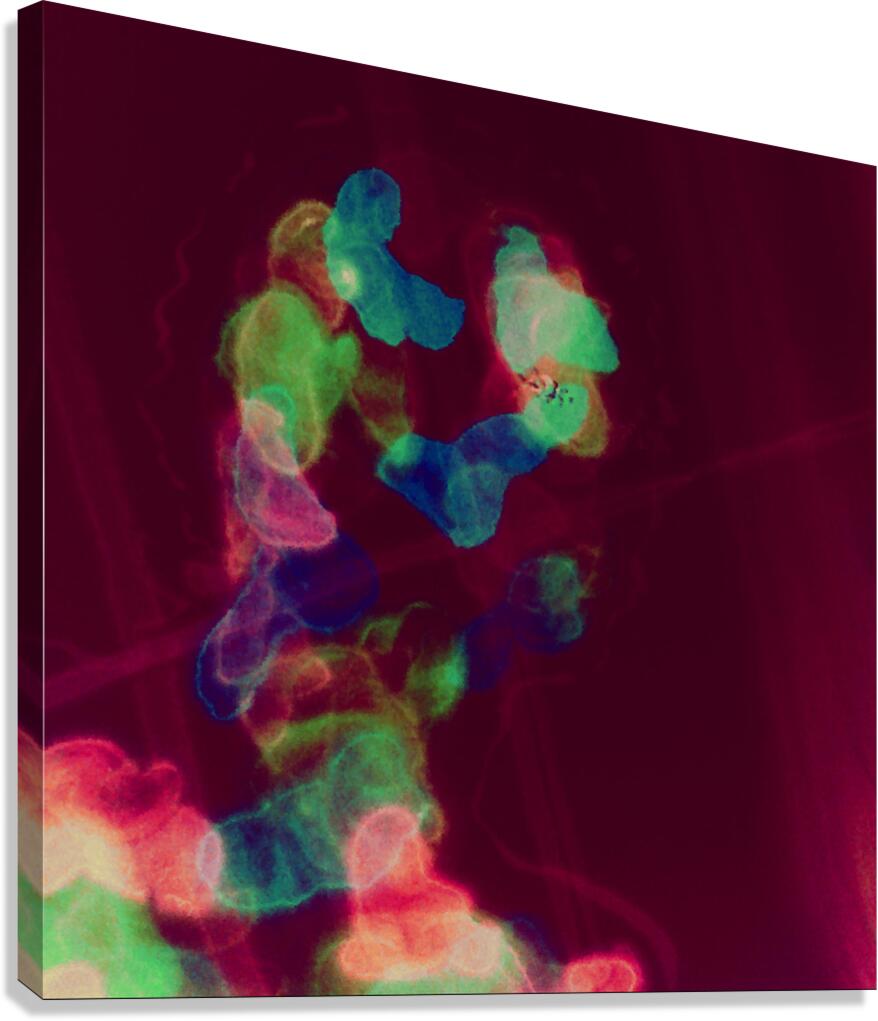 image 1393 Canvas Print