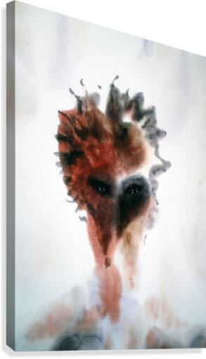 McWolf Canvas Print
