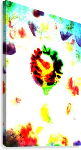 image 53 Canvas Print