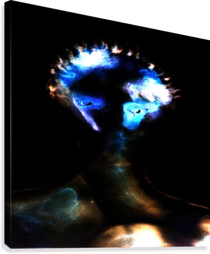image 66 Canvas Print