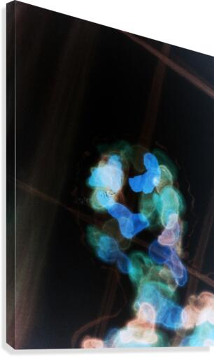 image 69 Canvas Print