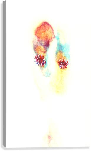 image 108 Canvas Print