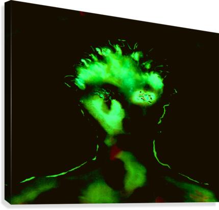 image 95 Canvas Print