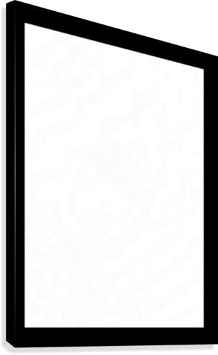 image 161 Canvas Print