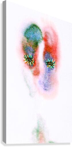  head cloud 109 copy Canvas Print