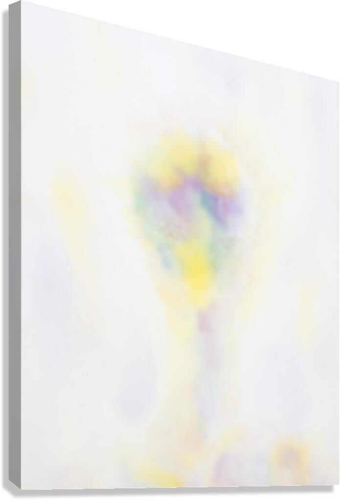 Monolith 254 Canvas Print