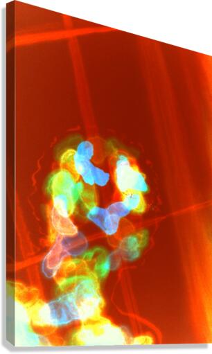 image 338 Canvas Print