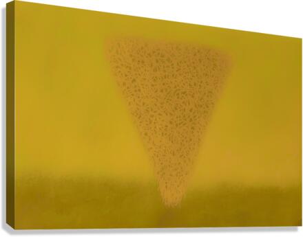 Monolith 118 Canvas Print