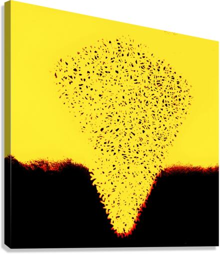 Monolith 171 Canvas Print