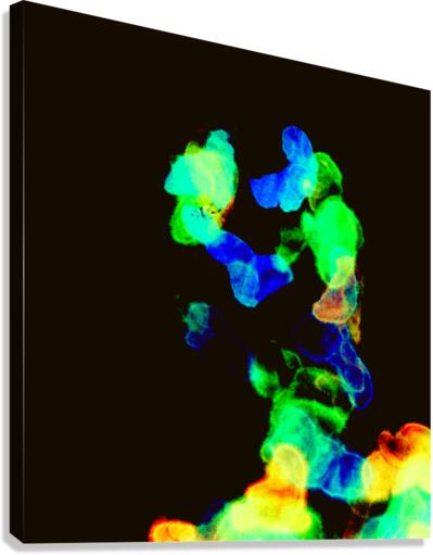 image 80 Canvas Print