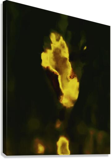  devil head 237 copy Canvas Print