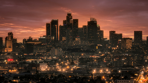 D.T.L.A.