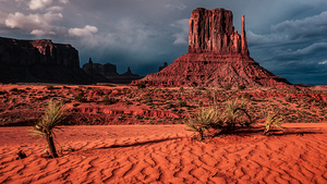Wild Wild West