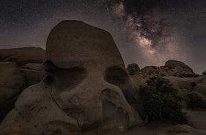 Skull Rock Joshua Tree National Park