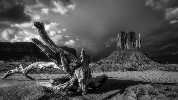 Navajo Nation Tribal Park Print
