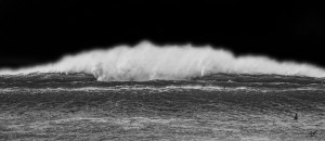 Outer Reef BW Blackback