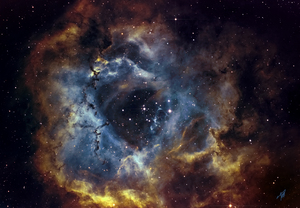Rosette 2022 3 1