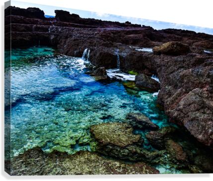 Tidepool Canvas Print