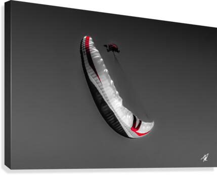 Midair Riser Check  BW Canvas Print