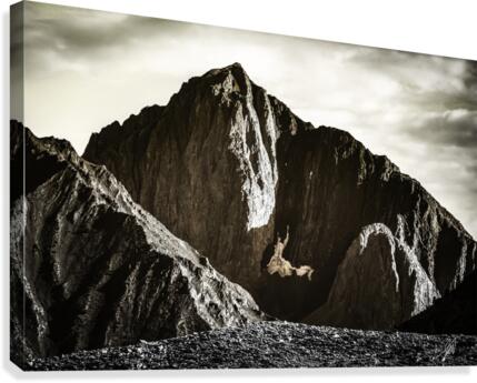 Morrison  Canvas Print