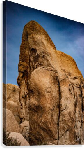 Gorilla Rock Canvas Print
