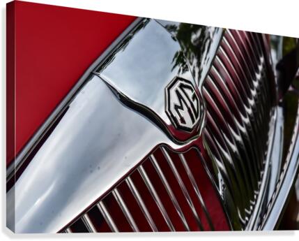 MG Grill Canvas Print