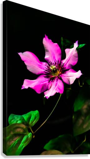 Flower Canvas Print