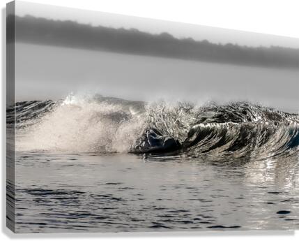 CA 25 Canvas Print