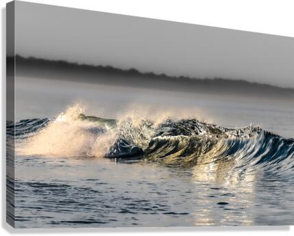 CA 24 Canvas Print