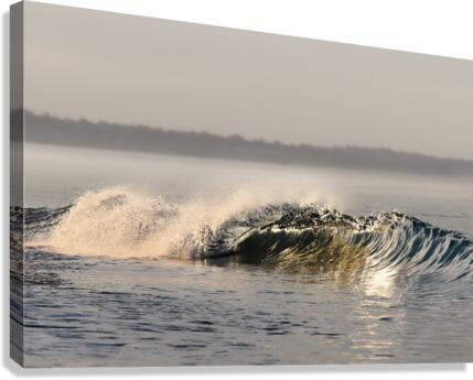 CA 26 Canvas Print