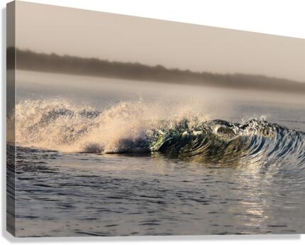 CA 28 Canvas Print