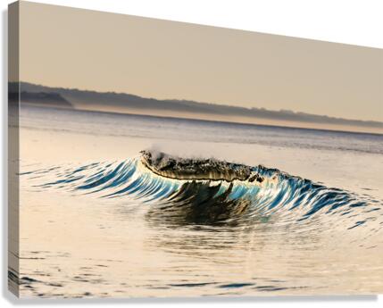 CA 47 Canvas Print