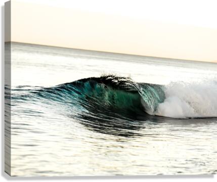 CA 45 Canvas Print