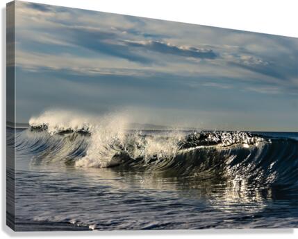 CA 39 Canvas Print