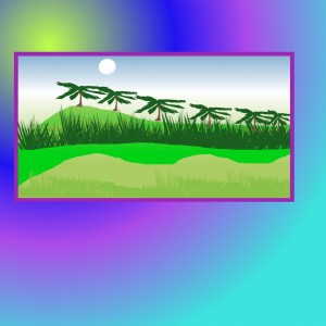 20190904_172150 44096