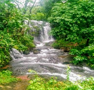 IMG_156804012212857086x6853