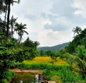 IMG_1571298003847853