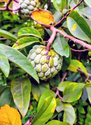 IMG_1571330093 50853~2